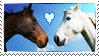 horses