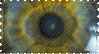 galaxy eye