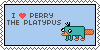 i love perry the platypus