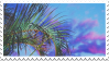 palm tree