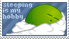 sleeping is my hobby