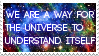 we are a way for the universe to understand itself