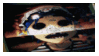 2d
