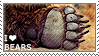 i love bears