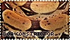boa constrictor