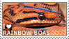 i love rainbow boas