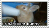 i r hardcore bunny i can haz headbangz