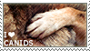 i love canids