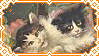 medieval cats