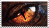 dragon eye