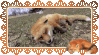 fox rolling