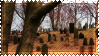 graveyard