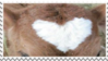 heart forehead
