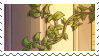 ivy