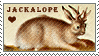 jackalope