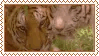 tigers