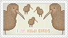 i love kiwi birds