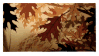 falling leaves
