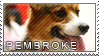 pembroke