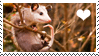 opossum