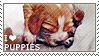 i love puppies