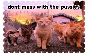 dont mess with the pussies