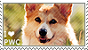 i love pembroke welsh corgis