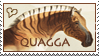 quagga