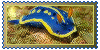 sea slug