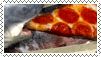 shark eating pizza