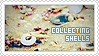 collecting shells