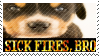 sick fires bro