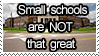 small schools are not that great
