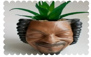 snoop dogg plant