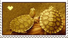 turtles