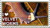 i love velvet worms