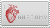 anatomy