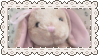 bunny plush