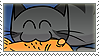cat with fish