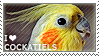 i lvoe cockatiels