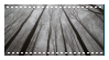 dark forest