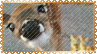 deer sniff