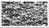 eyes