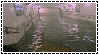flood