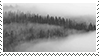 foggy