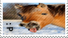 :P horse