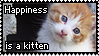 happiness is a kitten