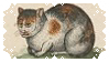 medieval cat