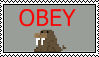 obey the walrus