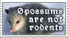 opossums are not rodents